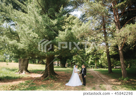 Newlyweds are walking in the park on the wedding day. Just married couple. Groom and bride on green 45842298