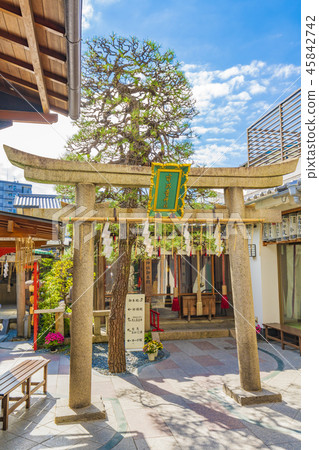 Hiba神社在京都 45842742