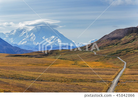 阿拉斯加德納利國家公園(麥金利)德納利國家公園 阿拉斯加德納利國家公園(麥金利)德納利國家公園 45842866