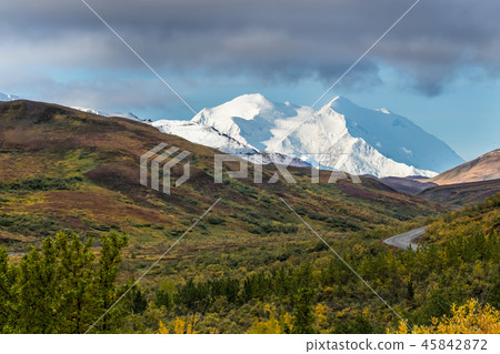 阿拉斯加德納利國家公園(麥金利)德納利國家公園 阿拉斯加德納利國家公園(麥金利)德納利國家公園 45842872