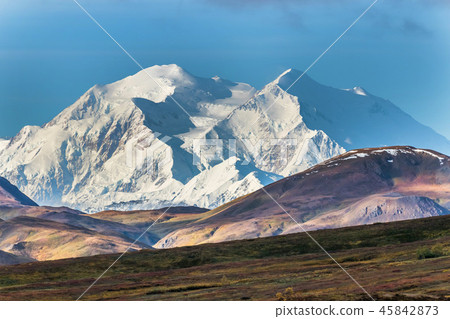 Alaska Denali National Park (McKinley) Denali National Park 45842873