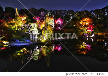 秋葉亮起(Mejiro花園) 秋葉亮起(Mejiro花園) 45843482