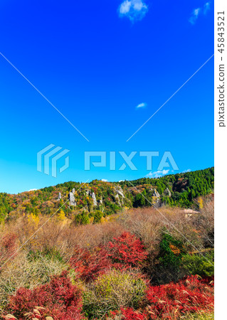 Tate Haneda視野下的秋葉[大分縣中津市Urayamakei] 45843521