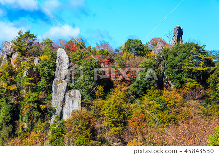 Autumn leaves in the view of Tate Haneda [Urayamakei, Nakatsu City, Oita Prefecture] 45843530