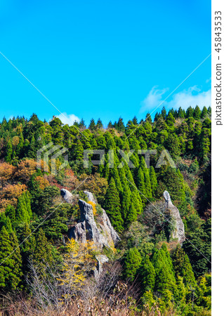 Autumn leaves in the view of Tate Haneda [Urayamakei, Nakatsu City, Oita Prefecture] 45843533