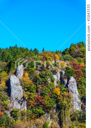 Autumn leaves in the view of Tate Haneda [Urayamakei, Nakatsu City, Oita Prefecture] 45843535