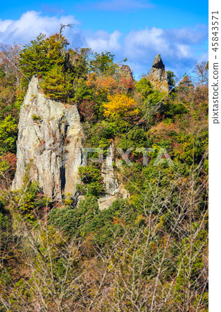 Tate Haneda視野下的秋葉[大分縣中津市Urayamakei] 45843571