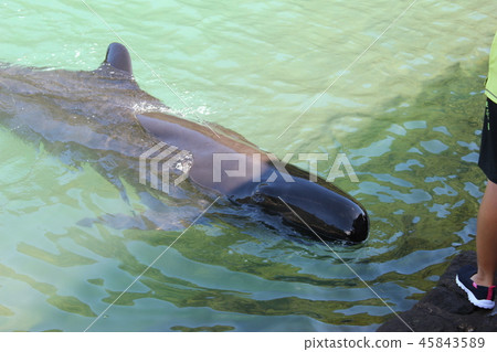 Happy Happy 45843589