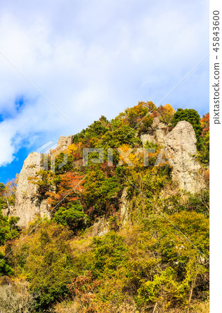 Autumn leaves in the view of Tate Haneda [Urayamakei, Nakatsu City, Oita Prefecture] 45843600