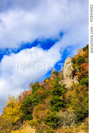 Autumn leaves in the view of Tate Haneda [Urayamakei, Nakatsu City, Oita Prefecture] 45843602
