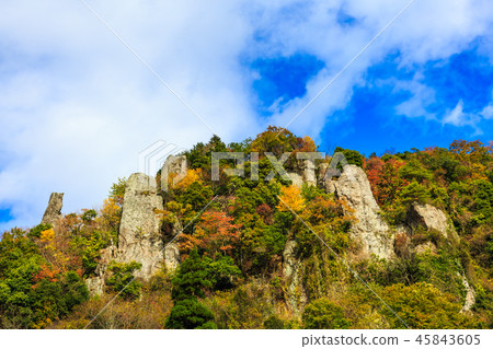 Autumn leaves in the view of Tate Haneda [Urayamakei, Nakatsu City, Oita Prefecture] 45843605