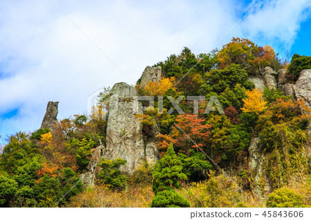 Autumn leaves in the view of Tate Haneda [Urayamakei, Nakatsu City, Oita Prefecture] 45843606