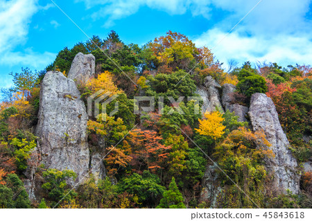 Autumn leaves in the view of Tate Haneda [Urayamakei, Nakatsu City, Oita Prefecture] 45843618