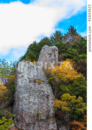Autumn leaves in the view of Tate Haneda [Urayamakei, Nakatsu City, Oita Prefecture] 45843625