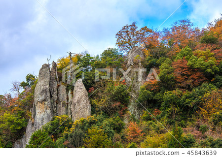 Autumn leaves in the view of Tate Haneda [Urayamakei, Nakatsu City, Oita Prefecture] 45843639