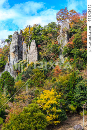 Autumn leaves in the view of Tate Haneda [Urayamakei, Nakatsu City, Oita Prefecture] 45843652