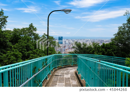 神戶金星橋 45844268