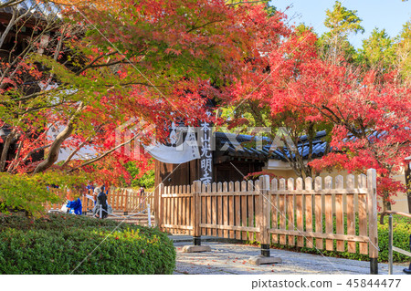 Komyoji Temple Autumn leaves Komyoji Temple Autumn leaves 45844477