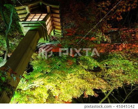 靖國神社點亮了 靖國神社點亮了 45845142