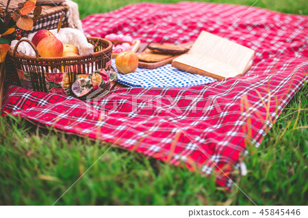 Summer picnic with a basket of food in the park. 45845446