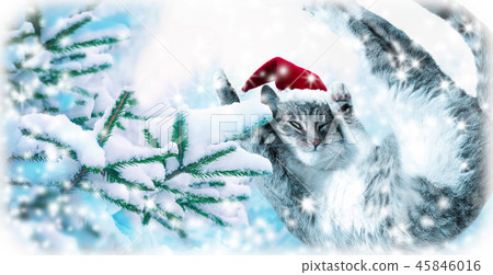 Flying jumping cat on snow fir tree background 45846016