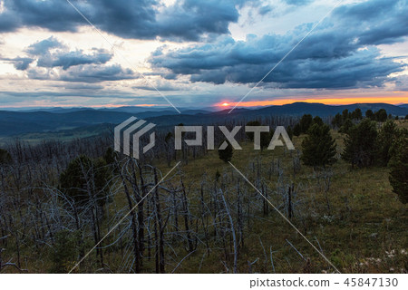 Landscape with dead forest Landscape with dead forest 45847130