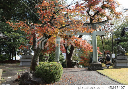 Ashiwa Shrine Torii (Ashiyama, Fukui Prefecture Fukui City) 45847407