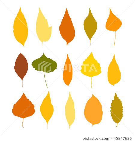 Autumn leaves set isolated on white background - Stock Illustration ...