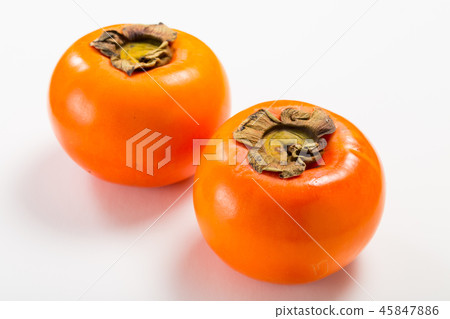 Misera柿子 45847886