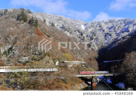 Hatsumi line of the first snow and autumn leaves 45848169