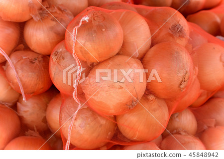 Onion with onion Onion with onion 45848942