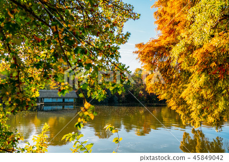 Lake House Surrounded By Colorful Fall Trees Lake House Surrounded By Colorful Fall Trees 45849042