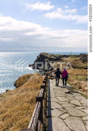 濟州島旅遊 45850004