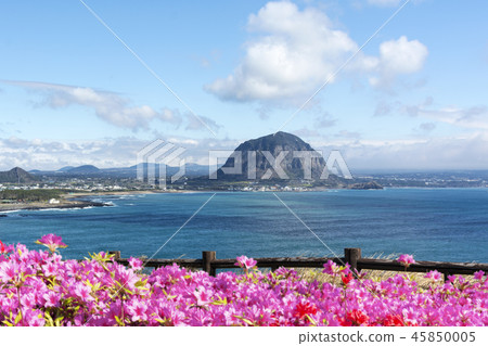 Jeju Island Travel 45850005