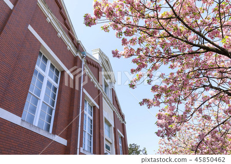 大阪造幣局·櫻花演練 大阪造幣局·櫻花演練 45850462