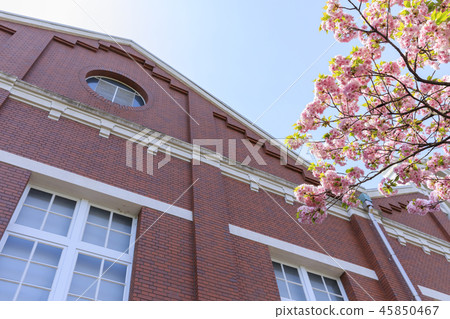Osaka Mint Bureau · Cherry blossom walkthrough 45850467