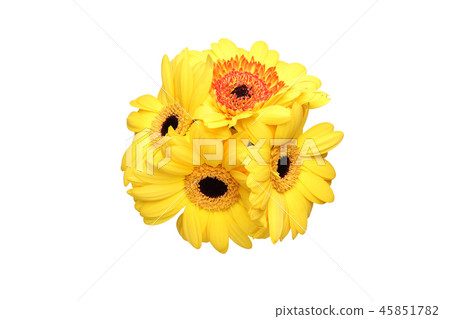Bouquet of Gerbera 45851782