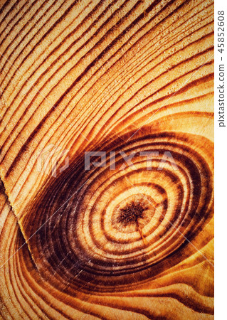 abstract circular lines on the cut of wood abstract circular lines on the cut of wood 45852608