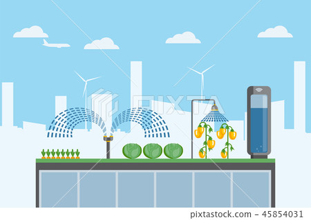 Urban farming on the roof Urban farming on the roof 45854031