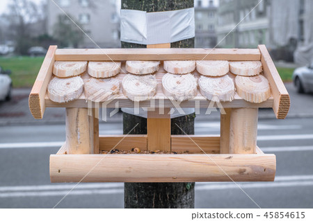 Bird feeding rises more and more controversies.  Bird feeding rises more and more controversies.  45854615