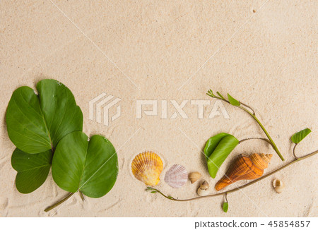 The beach item. 45854857