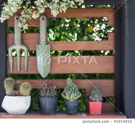 cactus shelves. 45854858