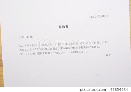 書面誓言（愛人DV） 45854984