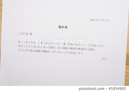 書面誓言（愛人DV） 45854985