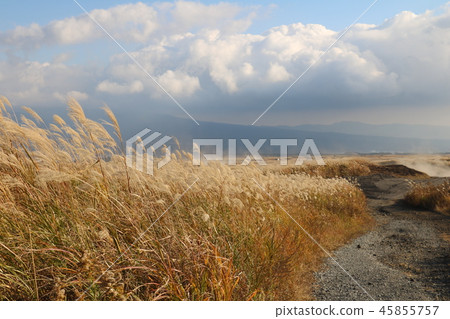 Susuki plain 45855757