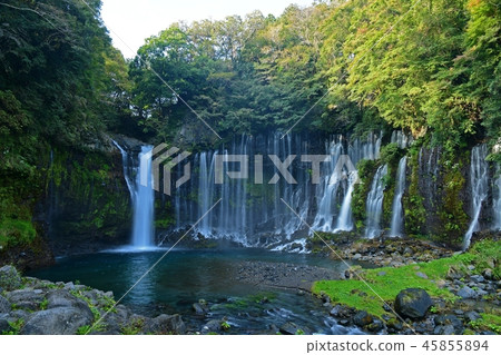 Scenery of Shiraito Falls @ Fujinomiya Shizuoka Scenery of Shiraito Falls @ Fujinomiya Shizuoka 45855894