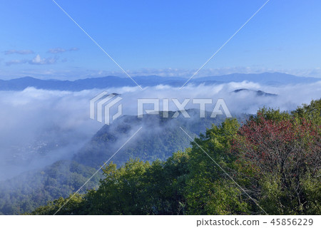 Yuusu溫泉 45856229