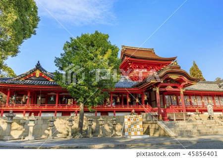 石清水八幡宮 45856401