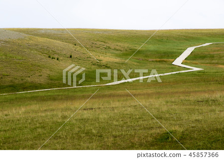 中國,腎臟 中國,腎臟 45857366