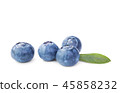 Fresh Blueberries  on white 45858232